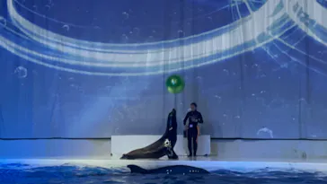アクアワールド茨城県大洗水族館に投稿された画像（2026/6/20）