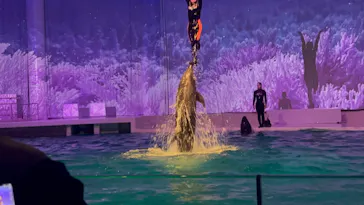 アクアワールド茨城県大洗水族館に投稿された画像（2026/6/20）