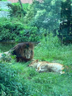 多摩動物公園に投稿された画像（2026/6/20）