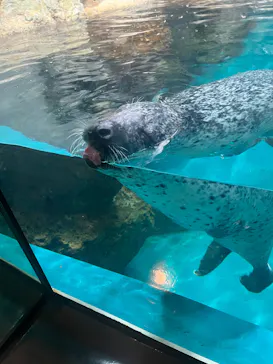 大分マリーンパレス水族館 「うみたまご」に投稿された画像（2026/6/20）