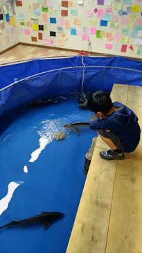 いきもの探検隊湘南に投稿された画像（2026/6/20）