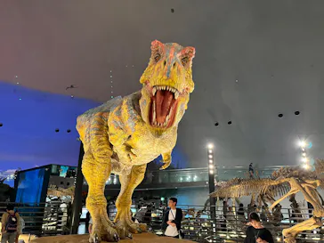 福井県立恐竜博物館に投稿された画像（2026/6/20）