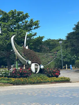 沖縄美ら海水族館に投稿された画像（2026/6/20）