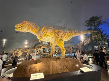 福井県立恐竜博物館に投稿された画像（2026/6/20）