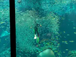マリンワールド海の中道に投稿された画像（2026/6/21）