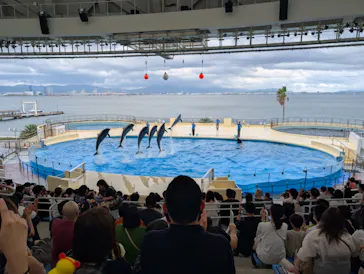 マリンワールド海の中道に投稿された画像（2026/6/21）
