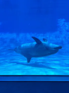 名古屋港水族館に投稿された画像（2026/6/21）