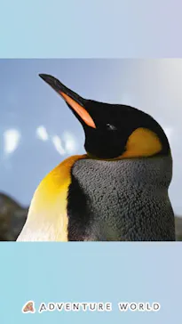 アドベンチャーワールドに投稿された画像（2026/6/21）