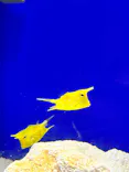 サンシャイン水族館に投稿された画像（2026/6/21）