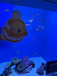 アクアワールド茨城県大洗水族館に投稿された画像（2026/6/21）