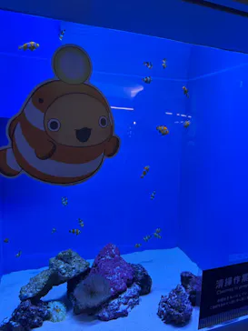 アクアワールド茨城県大洗水族館に投稿された画像（2026/6/21）