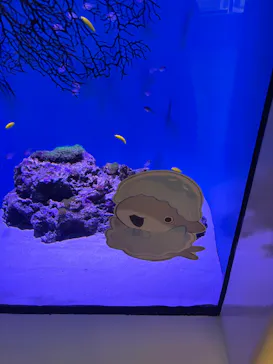 アクアワールド茨城県大洗水族館に投稿された画像（2026/6/21）