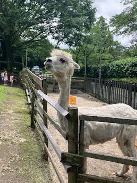 阿蘇カドリー・ドミニオンに投稿された画像（2026/6/21）