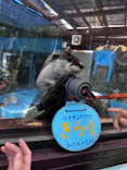 ゼロ距離水族館 伊勢シーパラダイスに投稿された画像（2026/6/21）