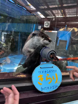 ゼロ距離水族館 伊勢シーパラダイスに投稿された画像（2026/6/21）