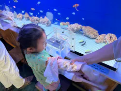 浜名湖体験学習施設ウォットに投稿された画像（2026/6/21）