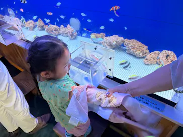 浜名湖体験学習施設ウォットに投稿された画像（2026/6/21）