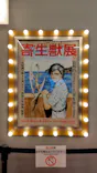 寄生獣展に投稿された画像（2026/6/21）