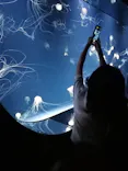 サンシャイン水族館に投稿された画像（2026/6/21）