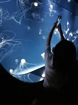 サンシャイン水族館に投稿された画像（2026/6/21）