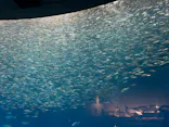 名古屋港水族館に投稿された画像（2026/6/21）