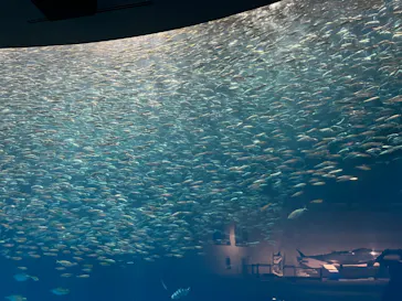 名古屋港水族館に投稿された画像（2026/6/21）