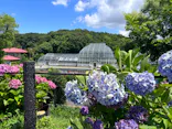 名古屋市東山動植物園に投稿された画像（2026/6/21）