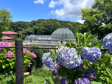 名古屋市東山動植物園に投稿された画像（2026/6/21）