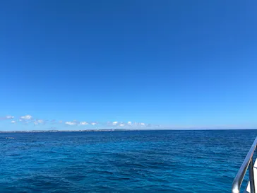 真心ダイバーズに投稿された画像（2026/6/21）