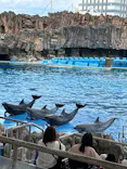 名古屋港水族館に投稿された画像（2026/6/21）