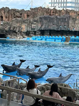 名古屋港水族館に投稿された画像（2026/6/21）