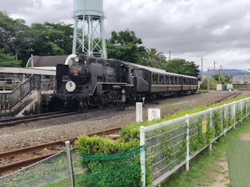 京都鉄道博物館×京都水族館に投稿された画像（2026/6/21）