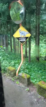 福井県立恐竜博物館に投稿された画像（2026/6/21）