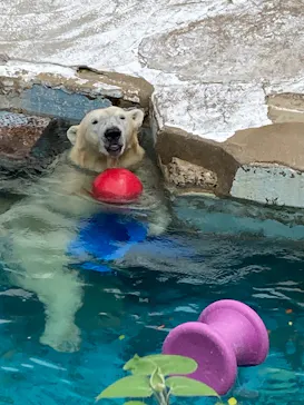 天王寺動物園に投稿された画像（2026/6/21）
