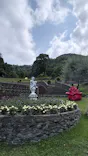 ACAO FORESTに投稿された画像（2026/6/21）