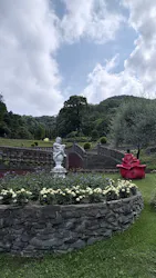 ACAO FORESTに投稿された画像（2026/6/21）