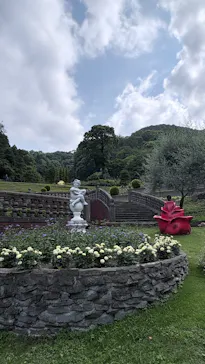 ACAO FORESTに投稿された画像（2026/6/21）