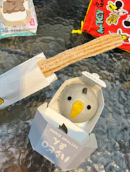 神戸どうぶつ王国に投稿された画像（2026/6/21）