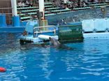 名古屋港水族館に投稿された画像（2026/6/21）