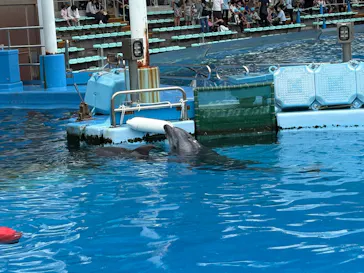 名古屋港水族館に投稿された画像（2026/6/21）