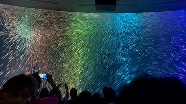 名古屋港水族館に投稿された画像（2026/6/21）
