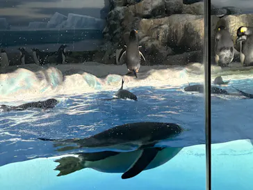 名古屋港水族館に投稿された画像（2026/6/21）