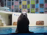 伊豆・三津シーパラダイスに投稿された画像（2026/6/21）