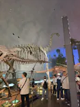 福井県立恐竜博物館に投稿された画像（2026/6/21）