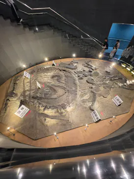福井県立恐竜博物館に投稿された画像（2026/6/21）