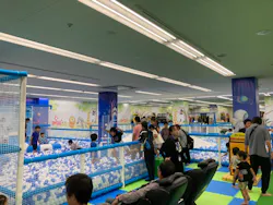 キッズランドUS 茨城常総店に投稿された画像（2026/6/21）