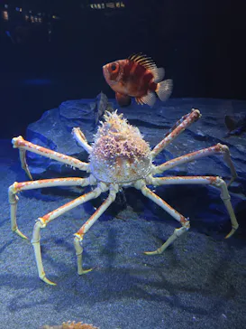 サンシャイン水族館に投稿された画像（2026/6/21）