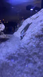 すみだ水族館に投稿された画像（2026/6/21）