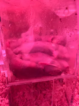 AQUARIUM × ART　atoaに投稿された画像（2026/6/21）