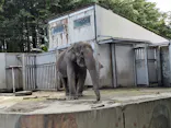 宇都宮動物園に投稿された画像（2026/6/21）